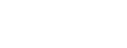 Synergy Vision