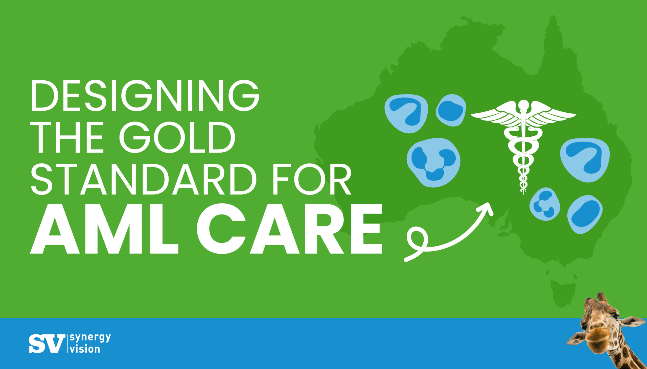 Expertise in clinical guidelines: Designing the gold standard of care for AML in Australia